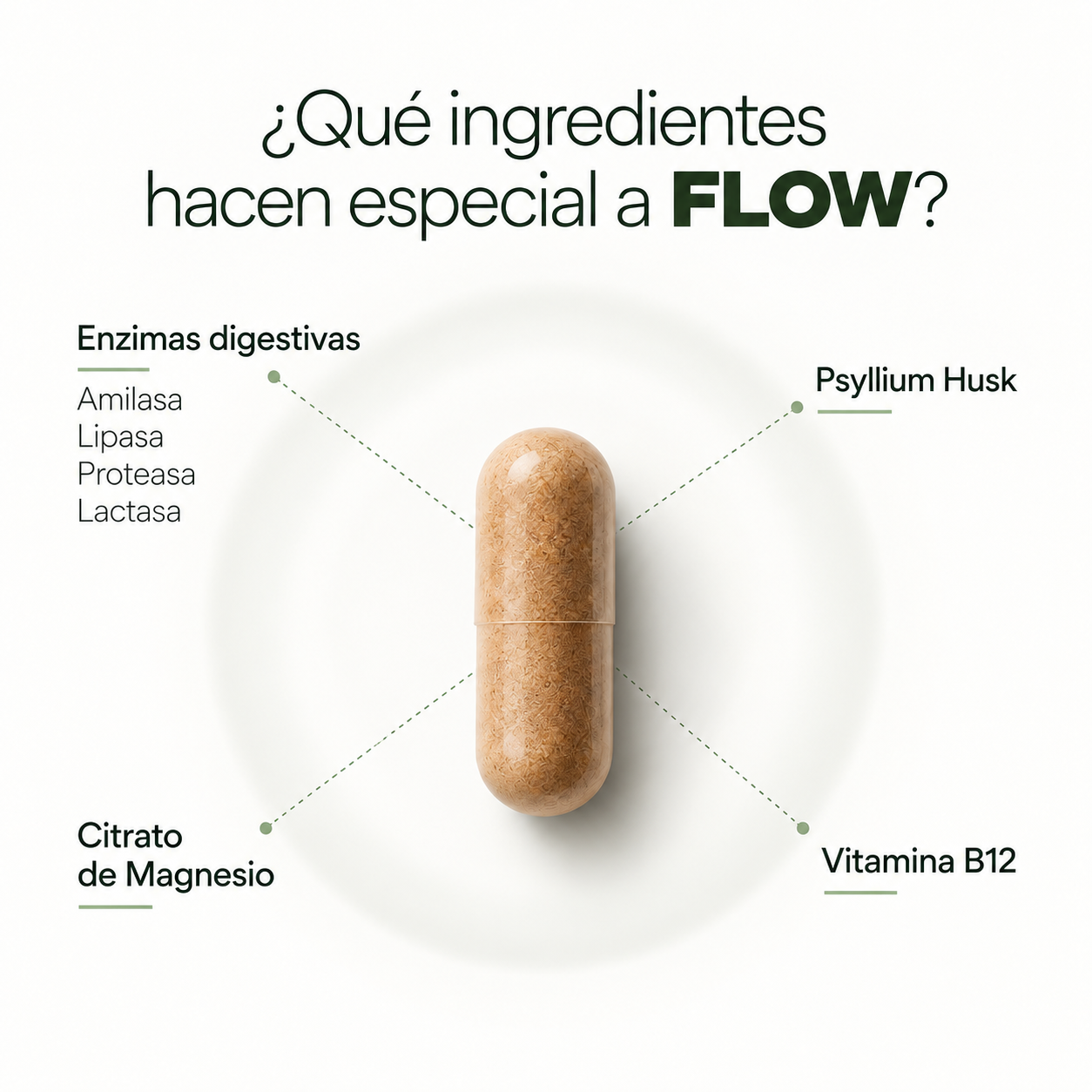 Flow Digestive Support - 3 Frascos